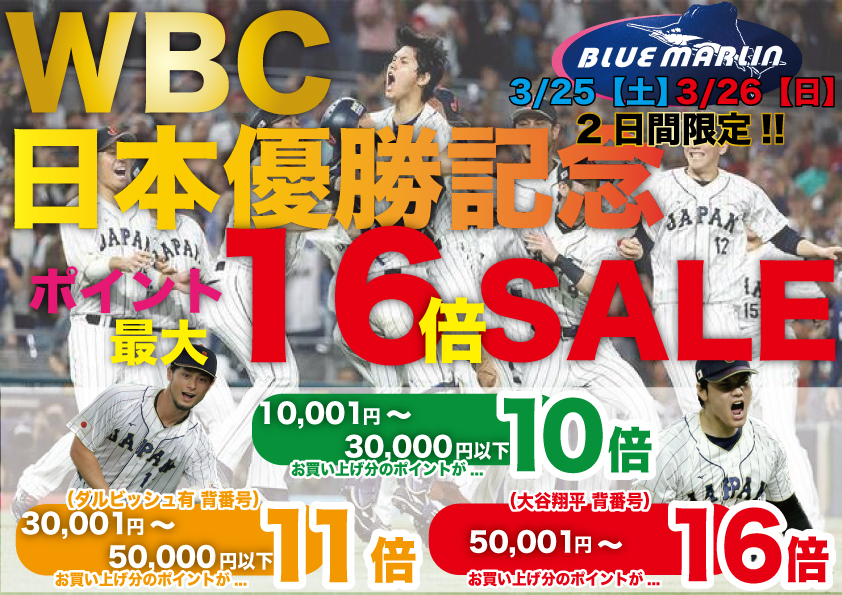 WBC優勝記念セール割り箸 凍み