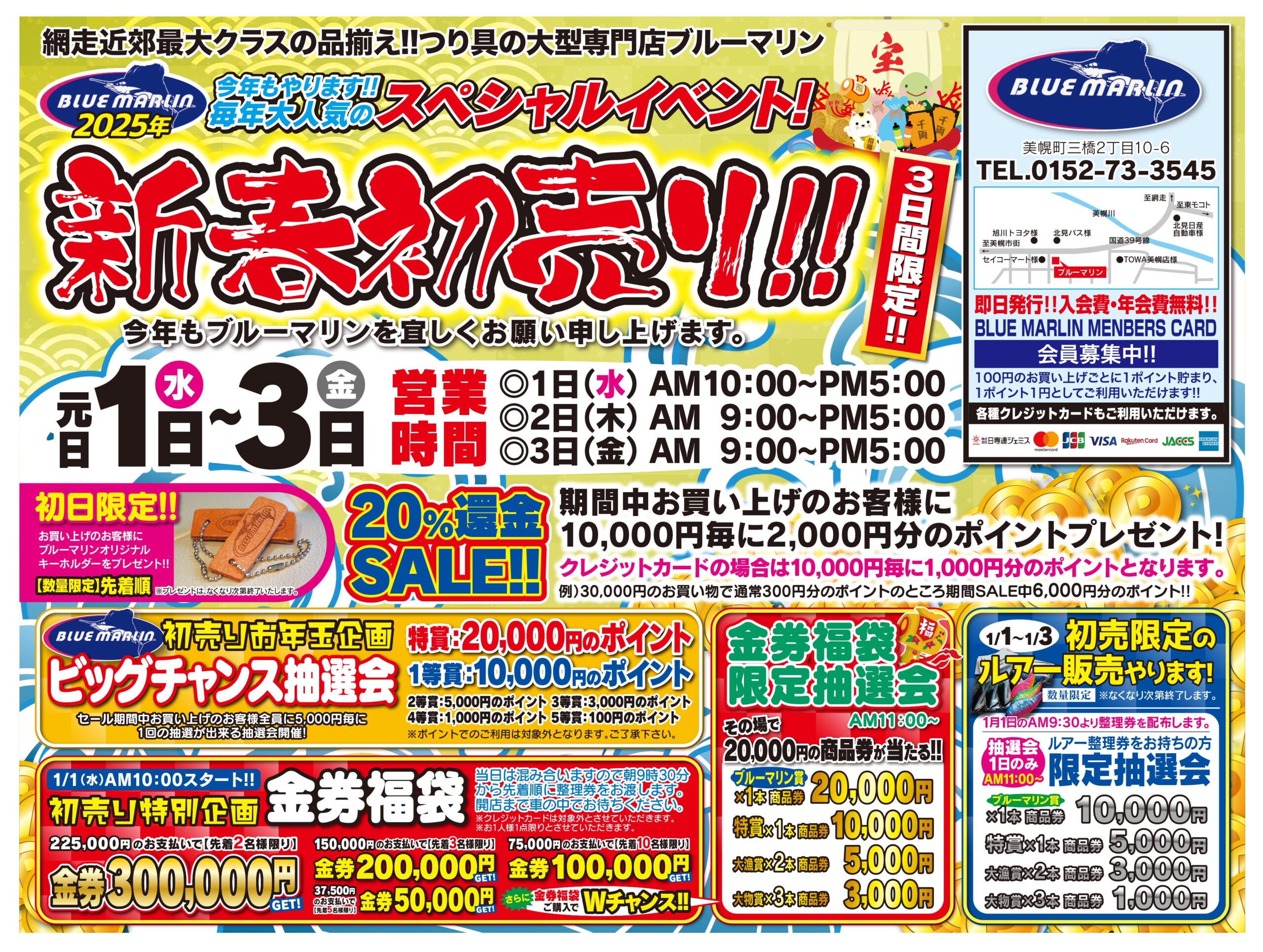 まりん様専用12/30 ☆Marin様専用☆ラシュシュ ナノプラス 100g ラシュシュナノプラス