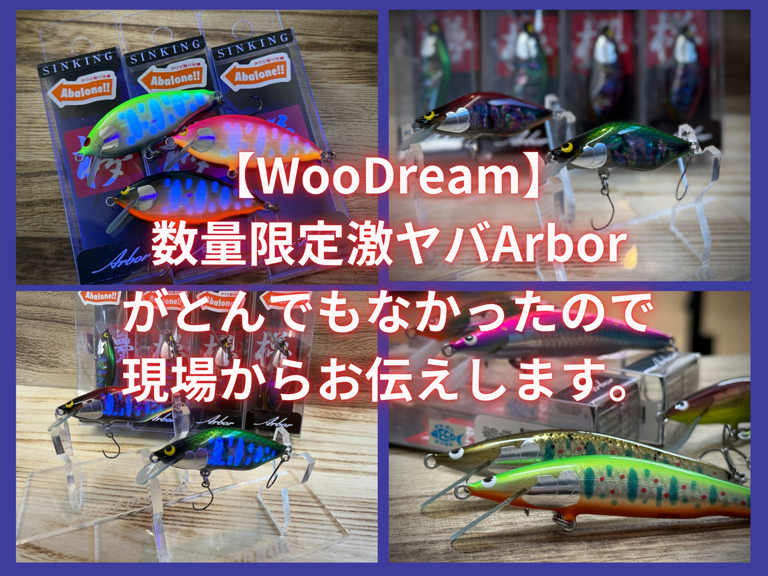 数量限定激ヤバアイテム入荷！】2026,WooDream Arborルアーがとっても 