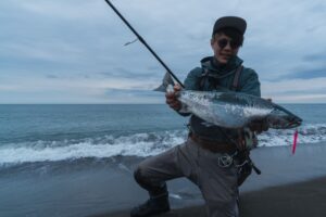 海サクラマス釣りの教科書｜おすすめルアーやタックル、釣り方のコツを徹底解説