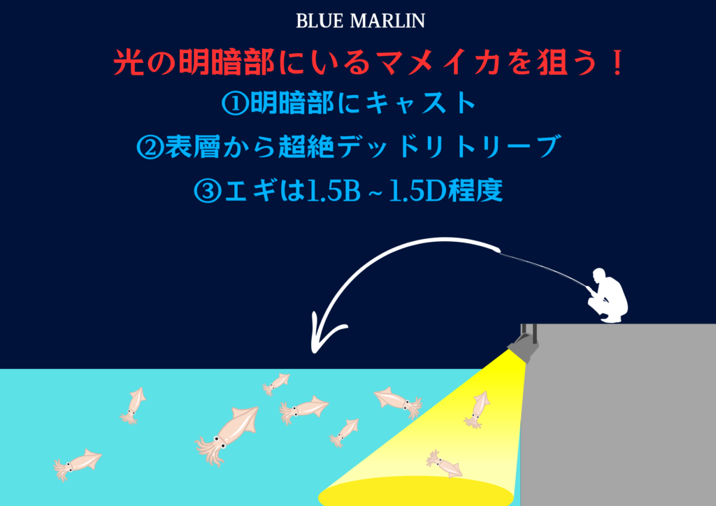 マメイカ釣り】このパターンが効いた！渋い中でも確実に釣れ続けた 