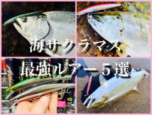 サクラマスミノー10点 チェリーブラッドSR90
