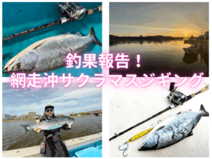 sakura様さ専用　遊色効果　極上　北極の青班模様 ホワイトウォーターオパール uuid3636FFA6-C70D-4D99-9880-