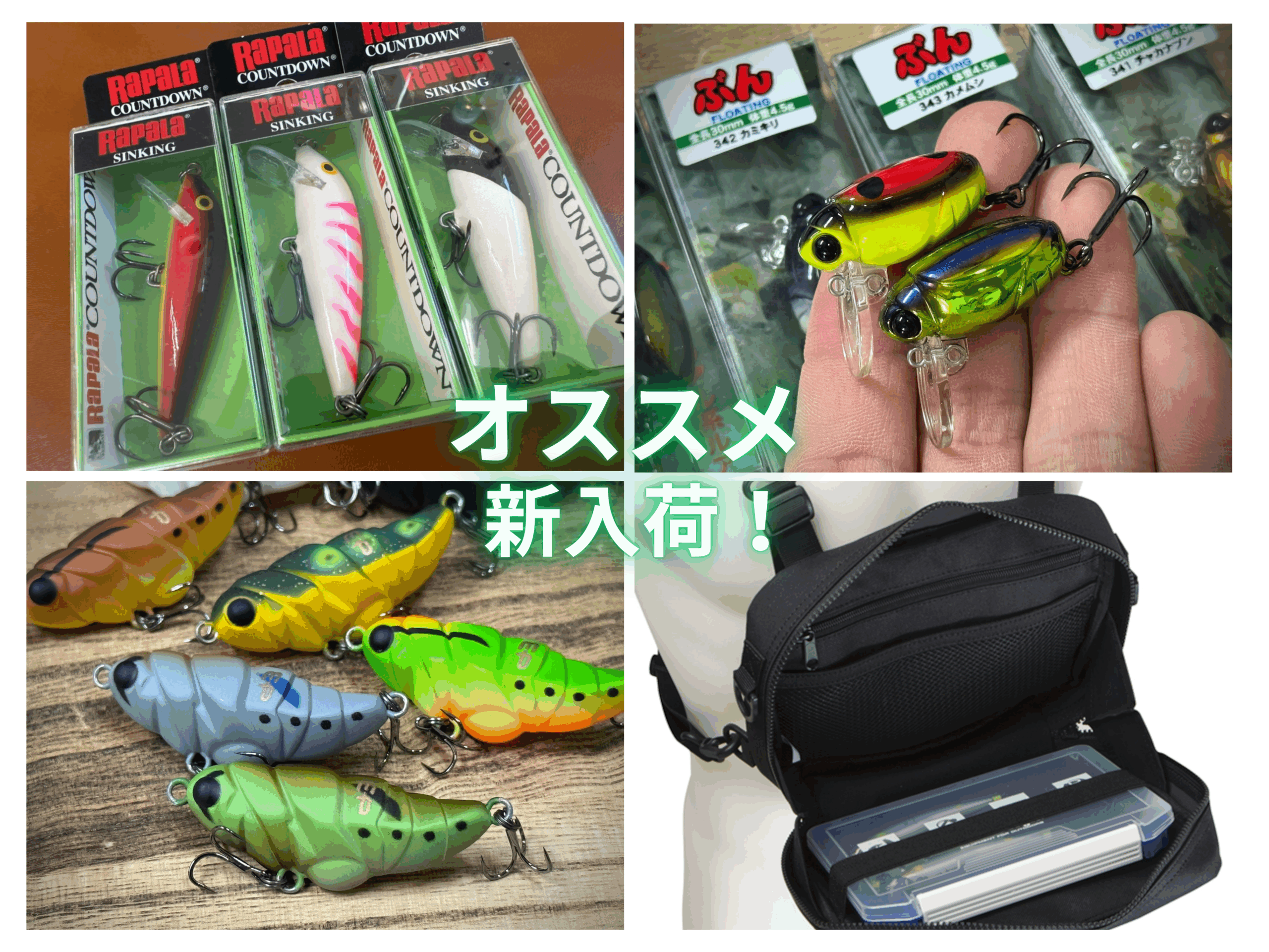 Rapala】