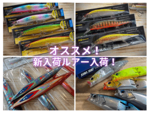 大橋青湖 釣魚秘傳集 限定500部 新商品入荷情報！ - 道東の釣りならブルーマリン