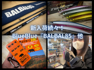 注目新作ロッドBlueBlue